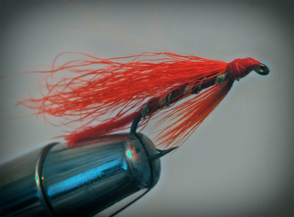 Shrimp Salmon fly ready for the season